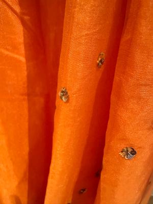 Ranian Orange Satin Silk Sari BRAND NEW