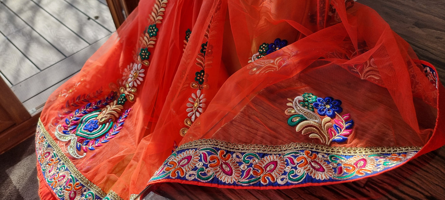 Orange net Saree