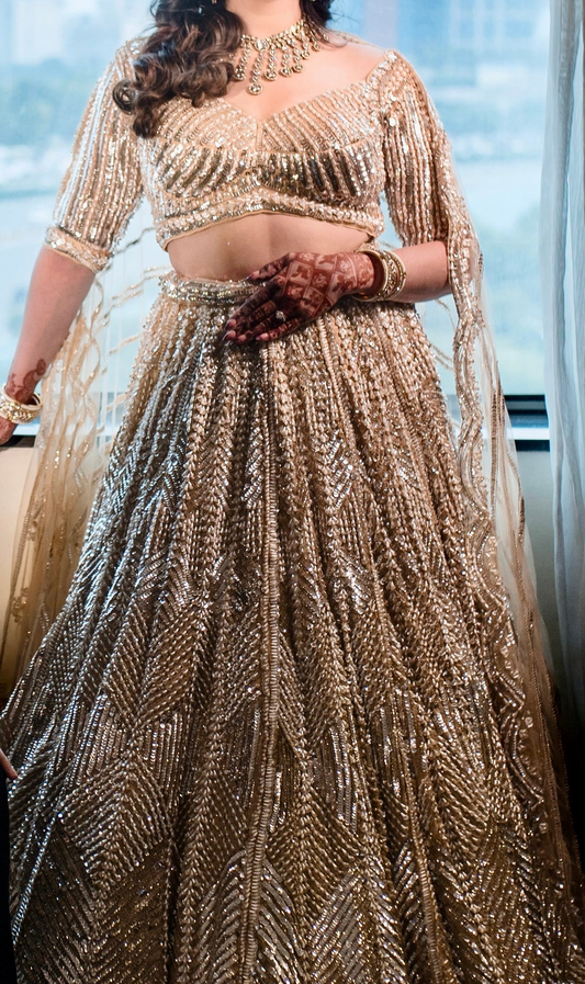 Starry Bollywood Designer Lehanga, Giving Jewellery Set Free