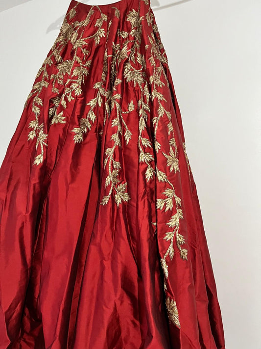 Red top skirt and dupatta dress