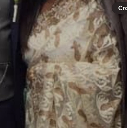 Net Gold and Beige saree with blouse