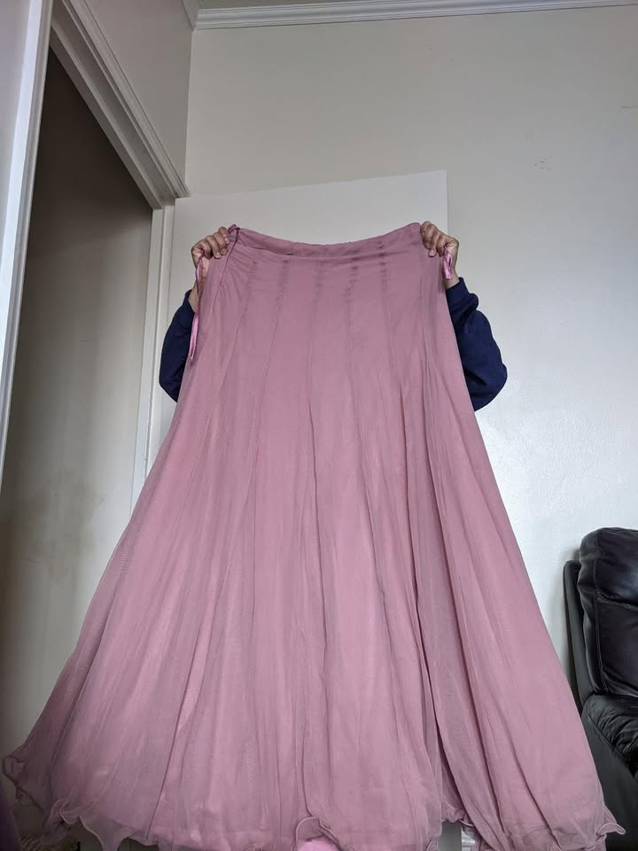 Brand new Pink Lehenga Gown