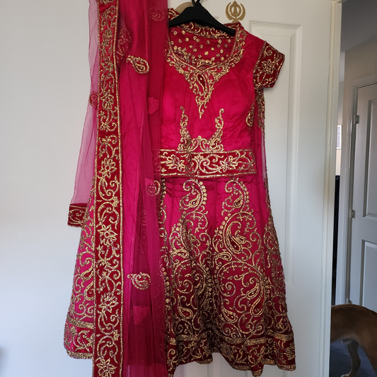 Stunning sereece colour lengha
