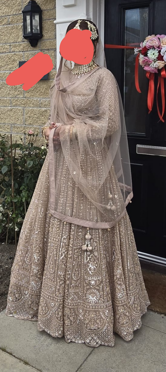 Party / Bridal Lehnga Size 12 - 14
